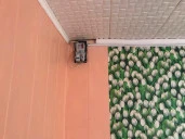 Часть жилого дома площадью 49,5 кв. м и земельный участок 300 кв. м в с. Воскресенское Саратовская области